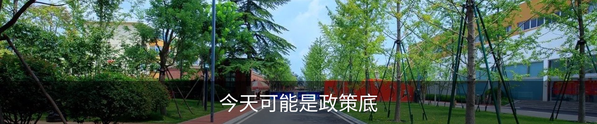 最新动态